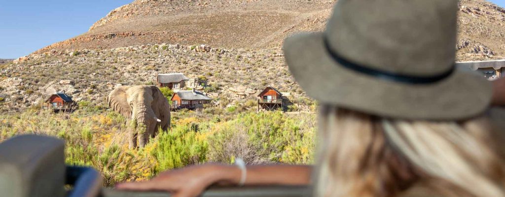Aquila Private Game Reserve